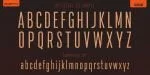Da Bronx Sans Font Family