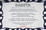 Dacota Layered Typeface Font