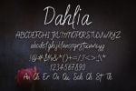 Dahlia Font