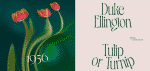 Dahlia Font Family