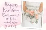 Daily Feather Script Font