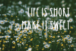 Daisy Girl Font