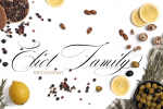 Dalgond Script Font