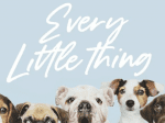 Dancingdog YH - Modern Script Font