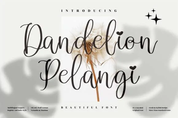 Dandelion Pelangi Font