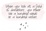 Dandelion Typeface Font