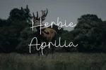 Danielle Signature - Handwritten