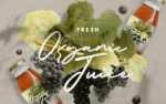 Danken - Signature Script