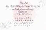 Daphne Haney Font