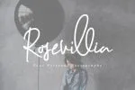 Darling Suttine Signature Font