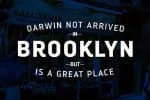 Darwin Font Family
