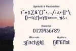 Day N Nite Font