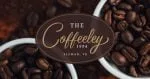 Daybird Script Font