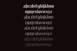 Dayleen Font