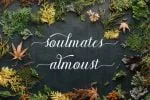 Dayling Script Font
