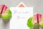 Dear Rialy - Monoline & Minimal Script Font
