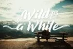 Decalled Script Font