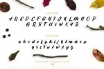 Decalled Script Font