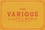 Dehors - Western Display Typeface