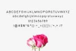 Deixis Font