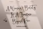 Delashanty Script Font