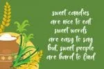 Delight Sugar Font