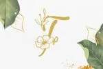 Dellina Monogram Font