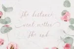 Dellove Font