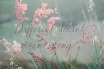 Dellove Font