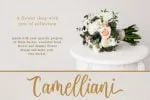 Delvina Font