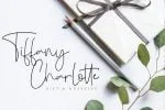 Delycost Signature Style