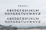 Denali Font