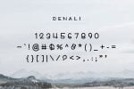 Denali Font