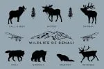 Denali Font