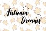 Denmahis Script Font