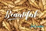 Denmahis Script Font