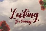 Denmahis Script Font