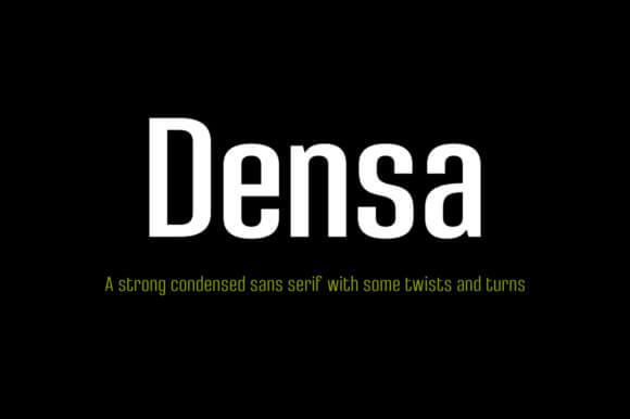 Densa Font Family