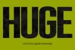 Densa Font Family