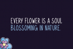 Derivation Font