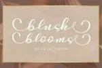 Desintona Script Font
