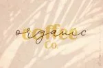 Destined Duo - Brush Sans & Signature Script