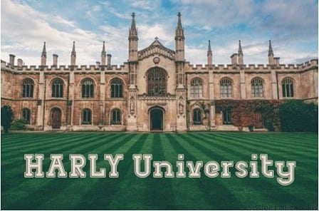 Dezire Pro Font Family