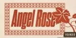 Dharma Gothic Rounded Font