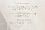 Diamond Bridge - Classy Serif Font