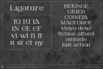 Digitany Font