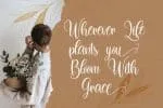 Dilan Whemsy Font