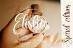 Dilan Whemsy Font
