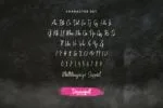 Disgracefull Font