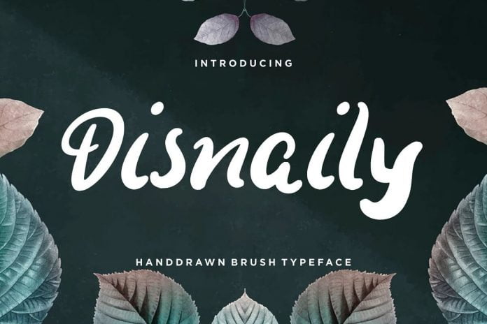 Disnaily Handdrawn Brush